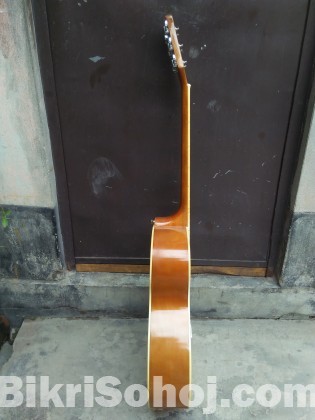 Taiwan Guitar